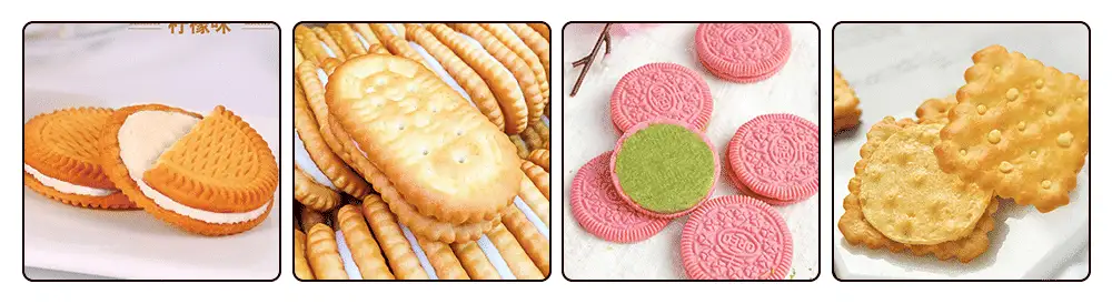 BISCUIT EXAMPLE Vegetable Cookies/Sandwich Biscuit Machine