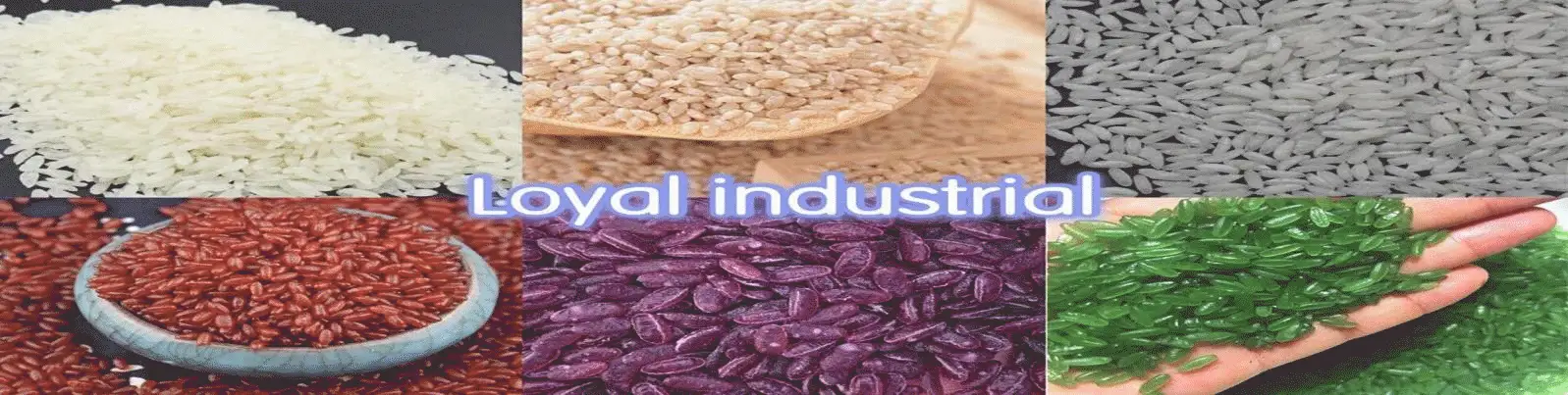 Sample Pictures of Industrial Instant Rice Making Machine Fortified Rice Processing Line 