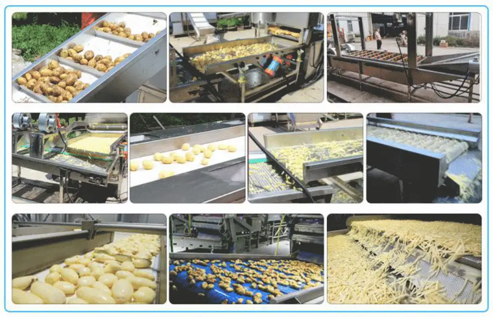 Fried French Fries Maker Machine Processing  
