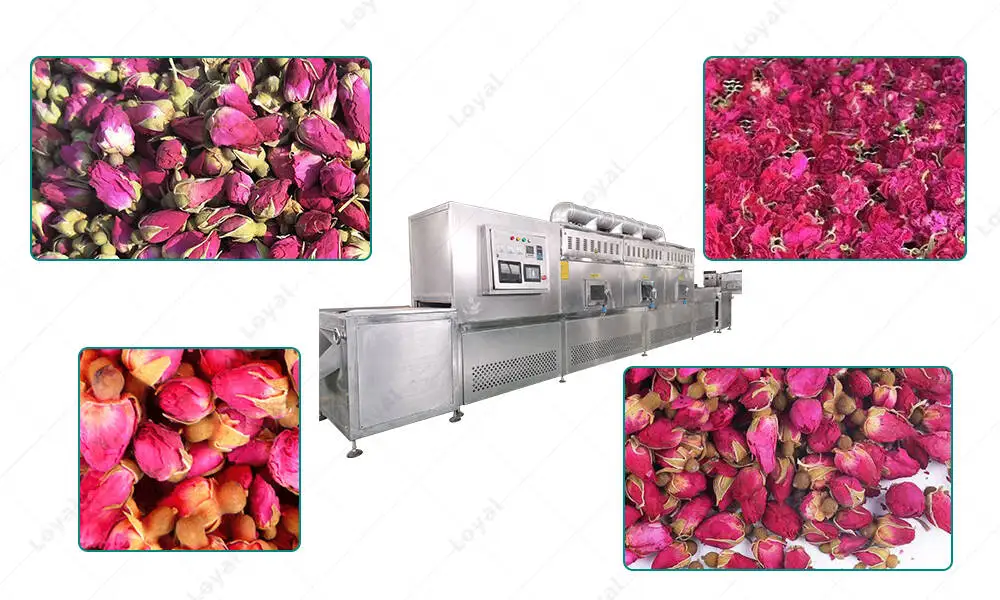 Application Of Rose Petal Microwave Flower Drying Machine
